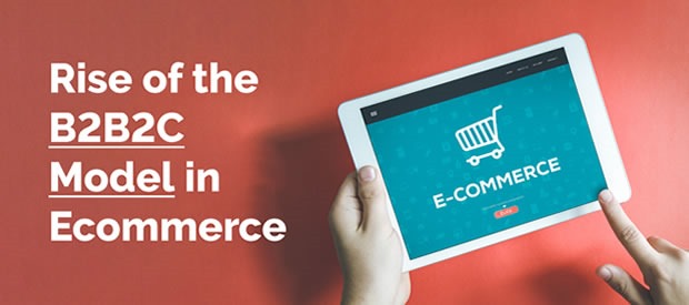 Support complex models